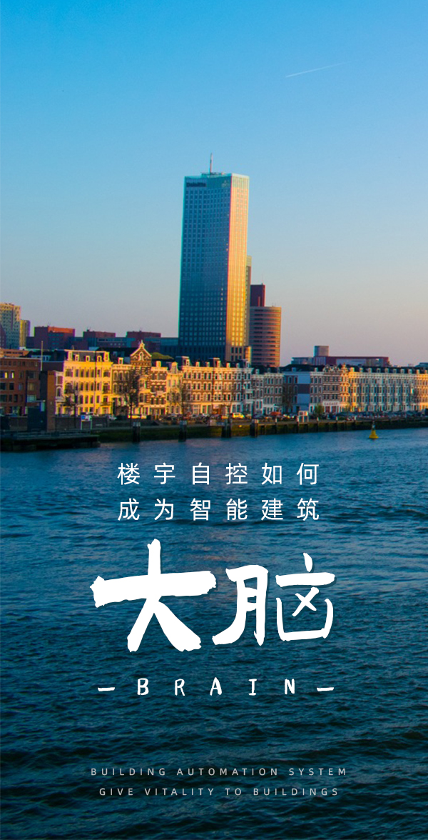 運行大腦.jpg